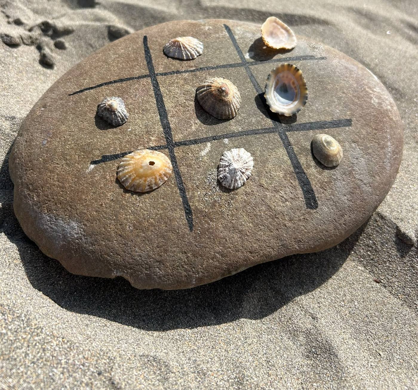 A tic-tac-toe game drawn on a beach stone, played with real seashells